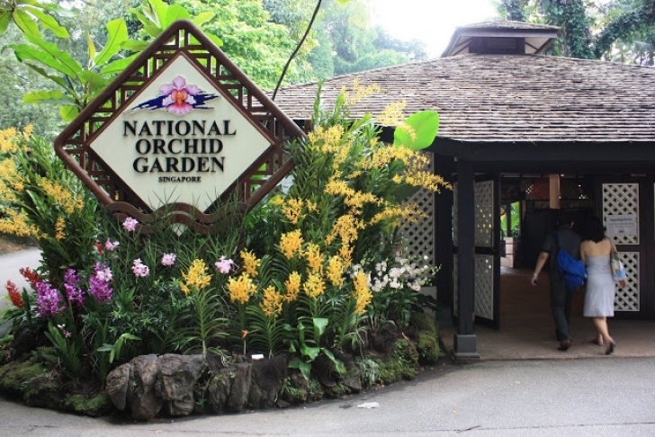 National Orchid Garden Bon Voyage!! Travelling Shores: Travelling Leisure At Image 748