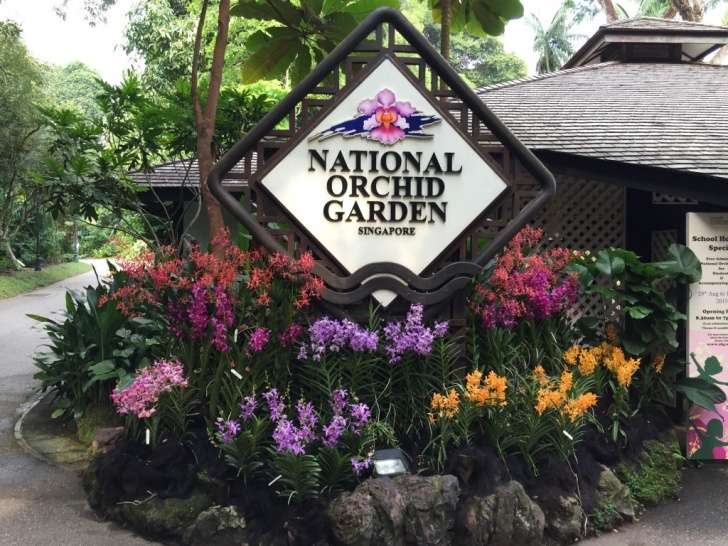 National Orchid Garden Eating Singapore - Flowers, Supertrees, And A River Safari Photo 565