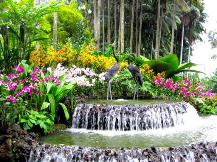National Orchid Garden Flowers, Picnics And Cycling: Singapore'S Prettiest Parks Photo 517