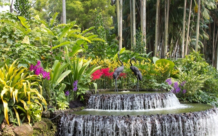 National Orchid Garden Singapore Botanic Gardens Image 678