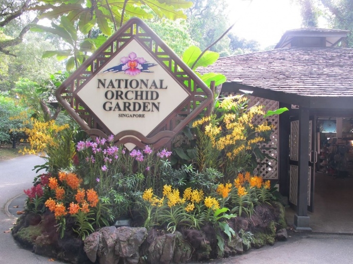 National Orchid Garden Travel In Singapore Like A Local #1—Free Concerts And Picture 604