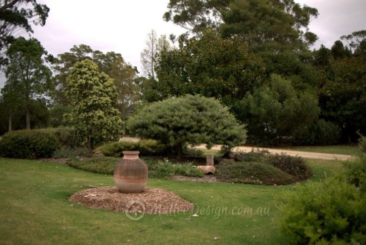 Native Garden Design 1459 Best Australian Native Gardens Images On Pinterest Photo 657