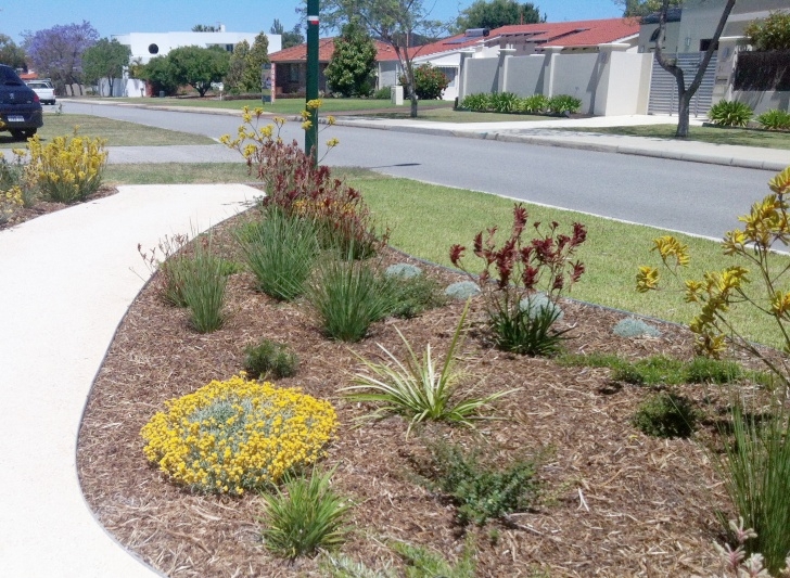 Native Garden Design Native Garden | Zona Verde Picture 934