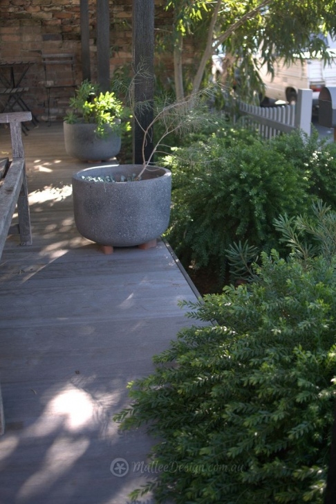 Native Garden Design The 1498 Best Australian Native Gardens Images On Picture 433