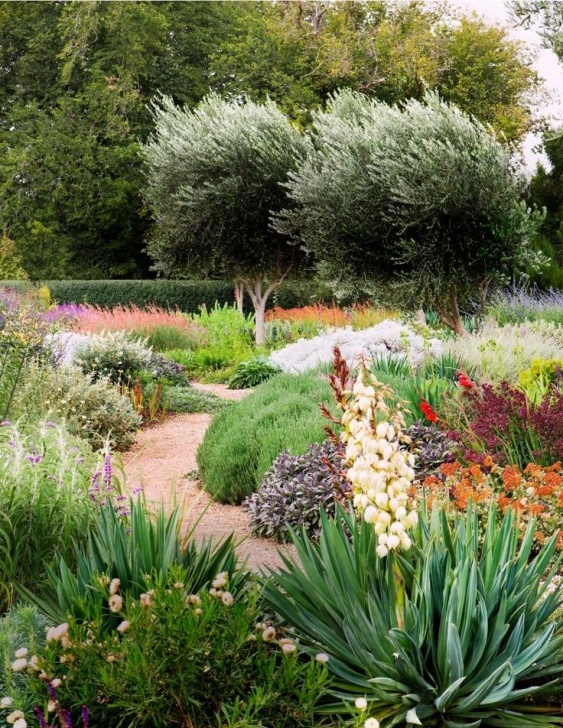 Native Garden Design The 25+ Best Australian Garden Design Ideas On Pinterest Picture 308