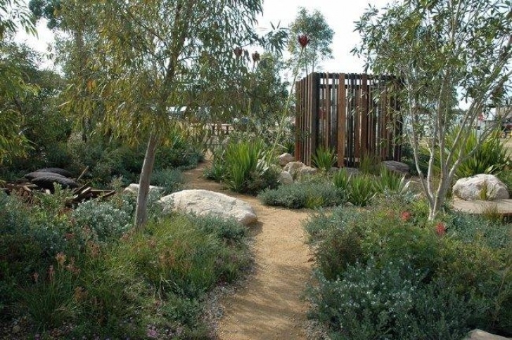 Native Planting Design Amazing Australian Native Garden Design Ides Image 235