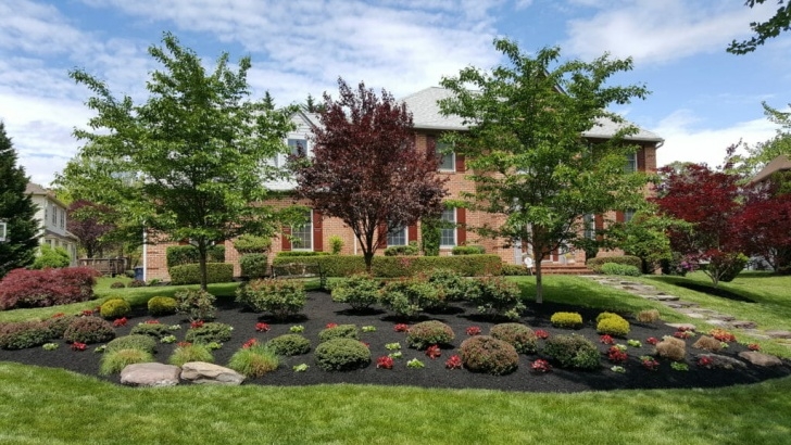 Native Planting Design Native Plants Lead To A Lasting Landscape | Na Landscaping Image 900