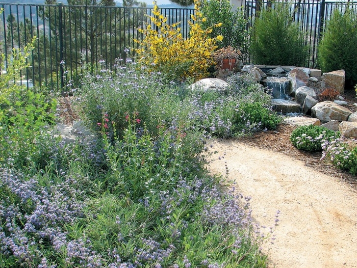 Native Planting Design Natural Landscaping Native Gardening | The Old Farmer'S Picture 289