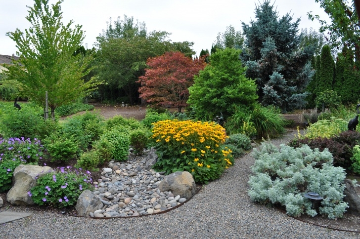 Native Planting Design Portland Landscaping: Soggy Lawns Picture 449