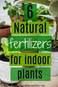 Natural Fertilizer For Indoor Plants 6 Natural Fertilizers For Indoor Plants | Fertilizer For Picture 573