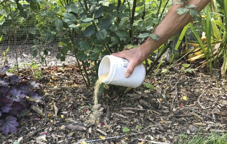 Natural Fertilizer For Plants Organic Fertilizers Feed Plants, Enrich Soil - Columbian Picture 238