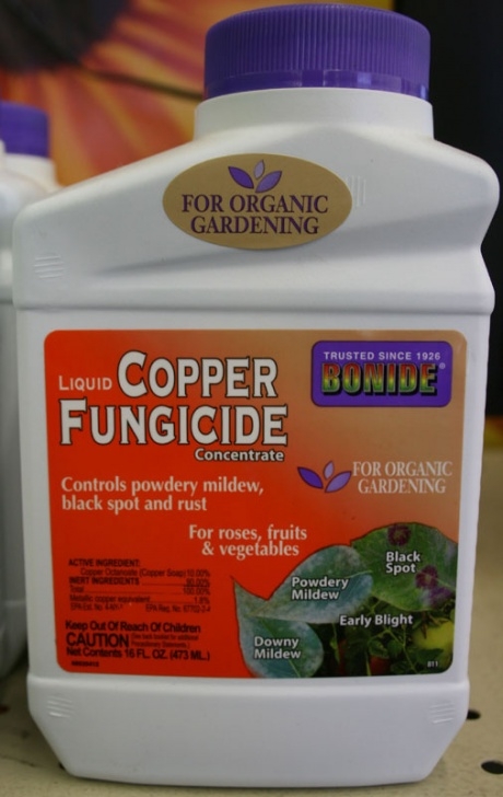 Natural Fungicide For Plants Disease Control - Fruit Basket - Flowerland Image 780