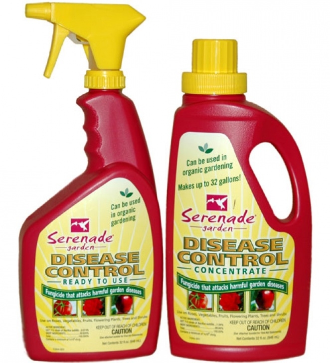 Natural Fungicide For Plants Serenade Garden Disease Control | Planet Natural Image 400