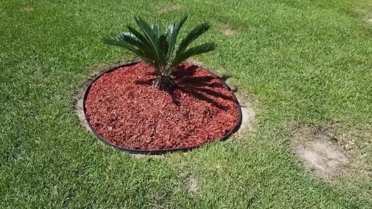 No Dig Lawn Edging Diy Vigoro No-Dig Edging - Youtube Photo 994