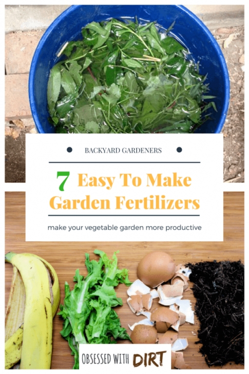 Organic Fertilizer For Vegetable Garden 5 Of The World'S Best Homemade Vegetable Garden Fertilizers Image 662