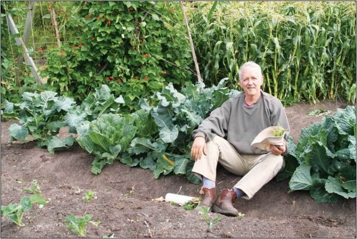 Organic Fertilizer For Vegetable Garden Diy Organic Fertilizer For Vegetable Garden | Home And Picture 909