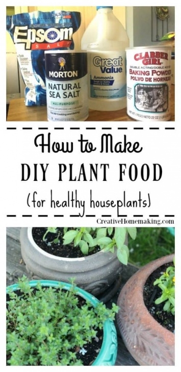 Organic Indoor Plant Fertilizer How To Make Homemade Plant Food - Creative Homemaking Photo 616
