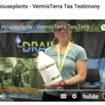 Organic Indoor Plant Fertilizer Indoor Plants Perked Right Up | Indoor Plants, Indoor Picture 113