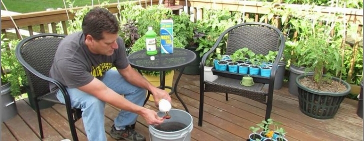 Organic Liquid Fertilizer For Vegetables Best Liquid Organic Fertilizer For Vegetable Garden | Home Photo 076