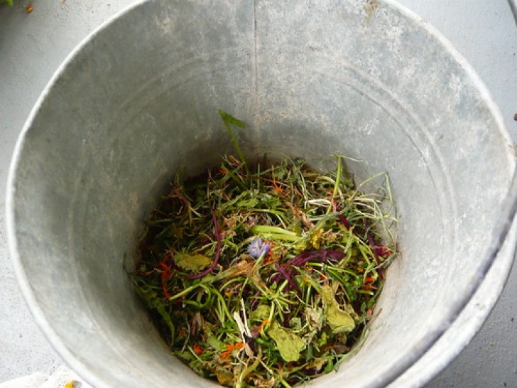 Organic Liquid Fertilizer For Vegetables How To Make Liquid Fertilizer At Home - Grow And Make Image 693