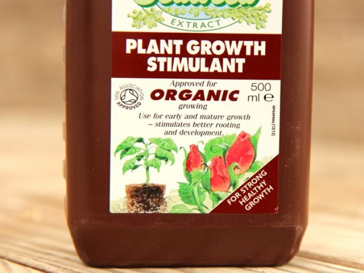 Organic Liquid Fertilizer For Vegetables Maxicrop Seaweed Fertilizer 500Ml - Organic Liquid Fertilizers Image 414