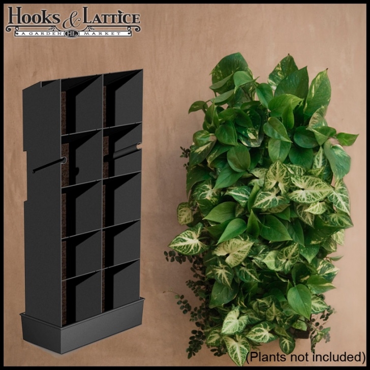Outdoor Living Wall Diy Diy Living Wall, Vertical Gardening | Hooks And Lattice Image 455