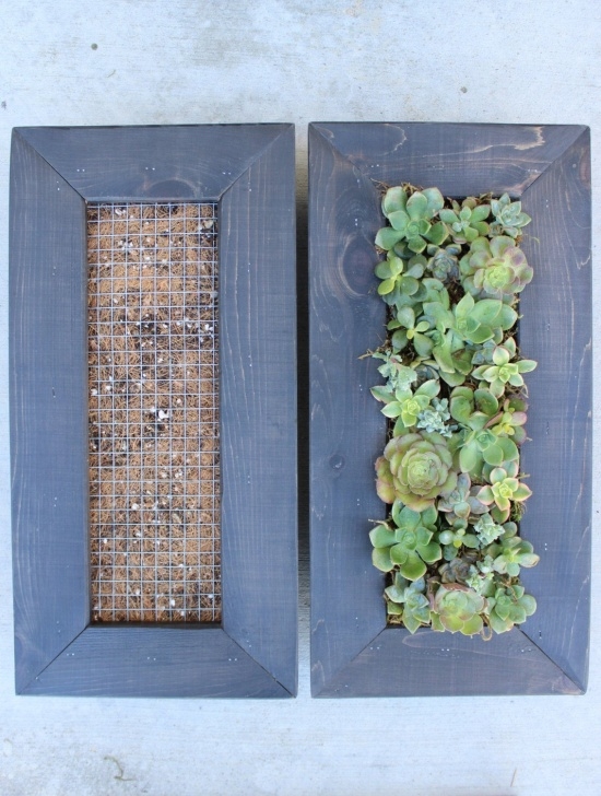 Outdoor Living Wall Diy Diy Vertical Hanging Succulent Living Wall. Great By Picture 125