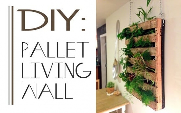 Outdoor Living Wall Diy Grow More Plants Indoors, Follow 16 Best Diy Vertical Picture 258