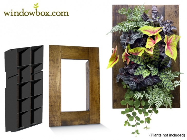 Outdoor Living Wall Diy Indoor Living Wall Kit With Rustic Frame - Diy Projects Photo 289