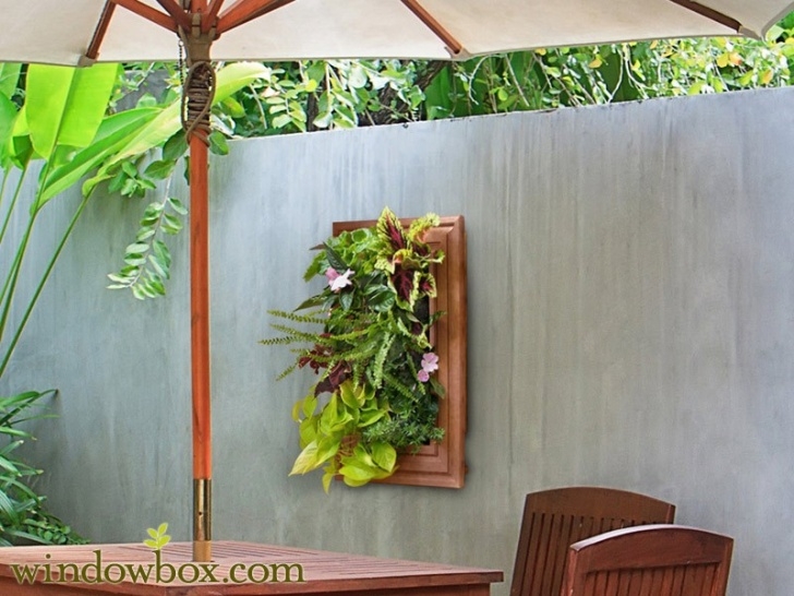 Outdoor Living Wall Diy Indoor Living Wall Kit With Traditional Frame - Diy Picture 972