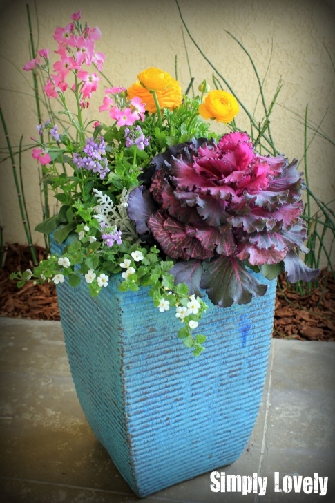 Outdoor Plants For Small Pots Colorful Potted Plants Picture 533