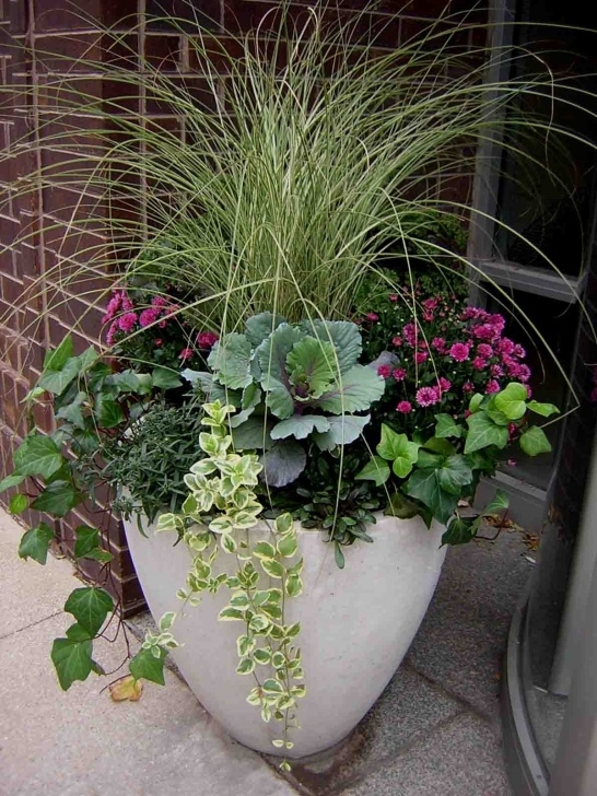 Outdoor Plants For Small Pots Fabulous Fall Flower Containers Photo 700