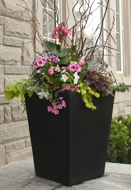 Outdoor Plants For Small Pots Planter Pot For Gardeners. Smart Variations In Color Image 856
