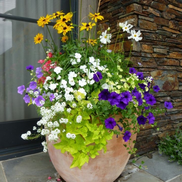 Outdoor Plants For Small Pots Planters Jackson Hole | Outdoor Flowers, Garden Services Image 694