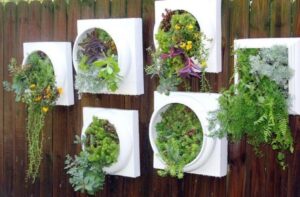 Outdoor Succulent Wall Planter Xl White Living Succulent Wall Planter Comes Pre-Planted Image 006