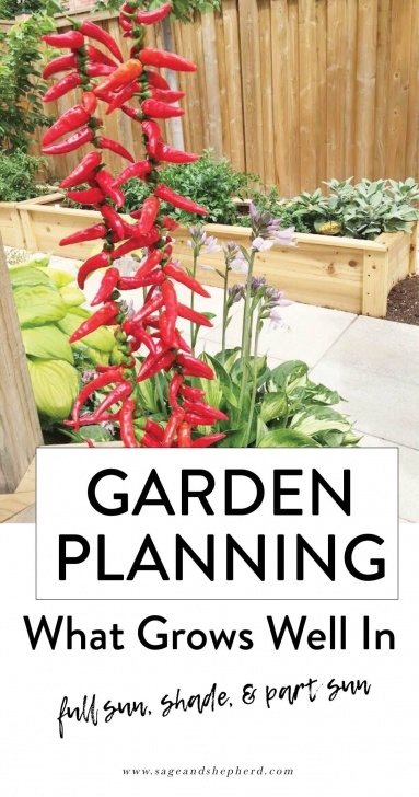 Partial Sun Vegetables Planning Your Vegetable Garden – What Grows Well In Full Picture 431