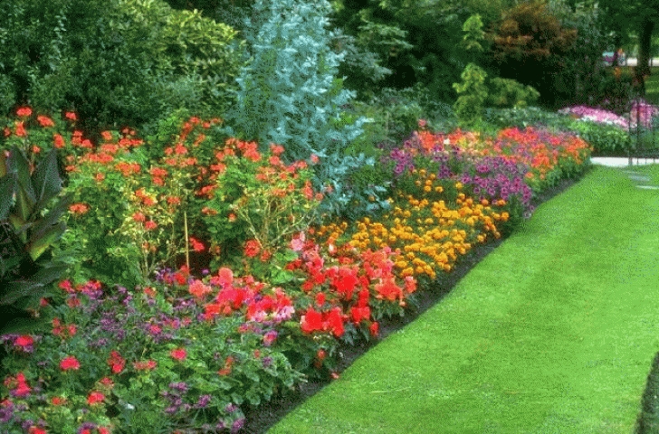 Perennial Flower Bed Designs Flower Bed Of Only Perennials. Comes Back Every Year With Photo 047