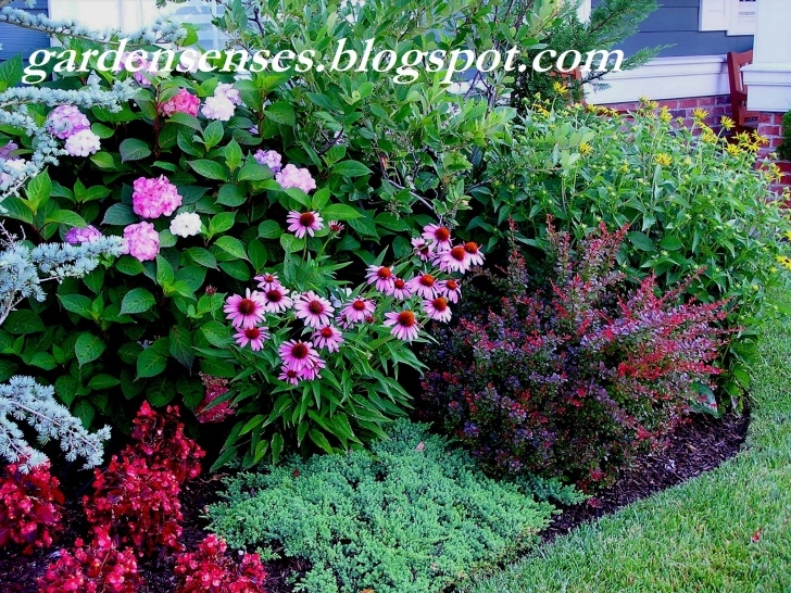Perennial Flower Bed Designs Garden Sense: Garden Design Ii - Design Strategies For Photo 373