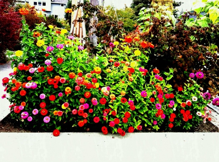 Perennial Flower Bed Designs Small Flower Bed Designs Triyae Backyard Design Ideas Image 248