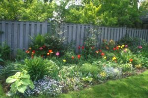Perennial Flower Bed Designs Spectacular Perennial Beds: Part One Of A Two Part Series Image 058