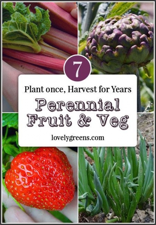 Perennial Fruits And Vegetables 7 Perennial Fruit And Vegetables: Plant Once And Then Picture 426
