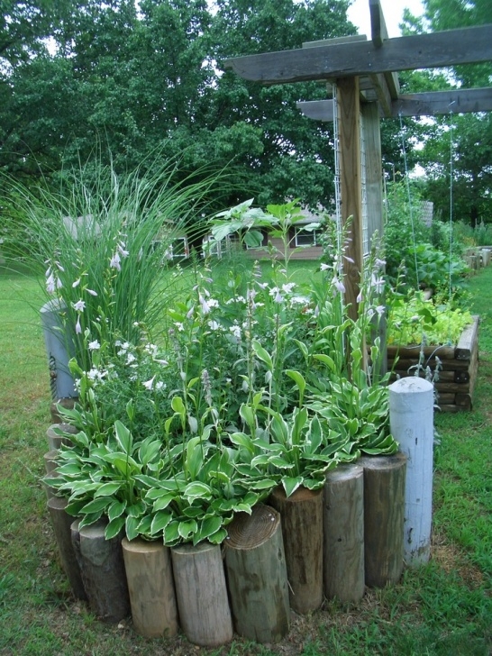 Perennial Plants For Raised Beds 54 Best Artist'S Retreat Lake View Home For Sale - $162K Picture 933