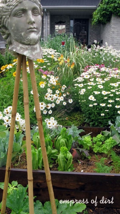 Perennial Plants For Raised Beds How To Create A Dream Garden On A Low Budget - Empress Of Dirt Picture 932