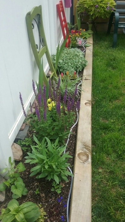 Perennial Plants For Raised Beds Side Garden, Raised Beds, Diy, High Traffic Boarder Photo 248