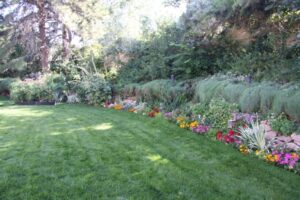Perennial Plants For Raised Beds Utah Dahlia Society: Megan'S Garden Picture 723