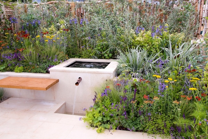 Perennial Plants For Raised Beds Water Feature On Patio | Plant &amp; Flower Stock Photography Photo 128