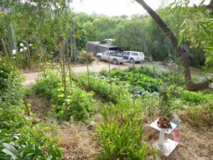 Permaculture Vegetable Garden Oudeberg Permaculture Farm | Permaculture South Africa Photo 678