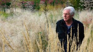 Piet Oudolf Landscape Five Seasons: The Gardens Of Piet Oudolf | Gene Siskel Image 850