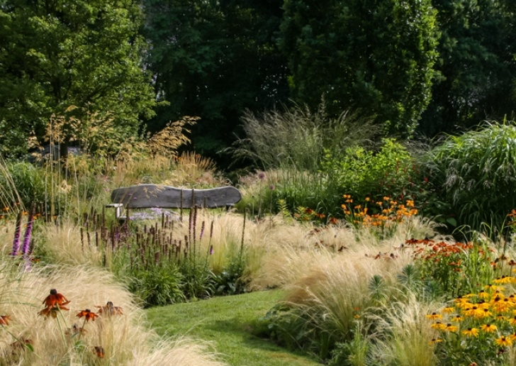 Piet Oudolf Landscape Piet Oudolf &amp; Naturalistic Gardens In Netherlands Picture 587