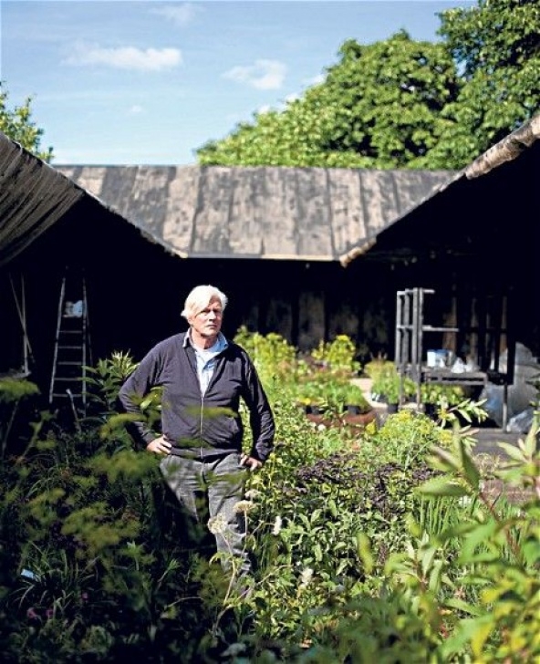 Piet Oudolf Landscape Piet Oudolf'S Garden At The Serpentine Gallery Pavilion Image 440